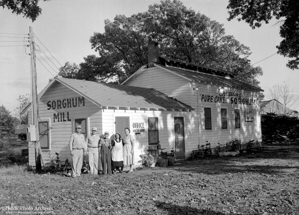 Ferguson Sorghum